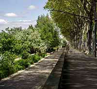 Quai Avenue Leclerc entre le Pont Galliéni et le Pont Pasteur