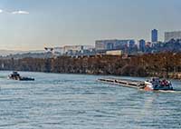 La Saône à L’Ile Barbe